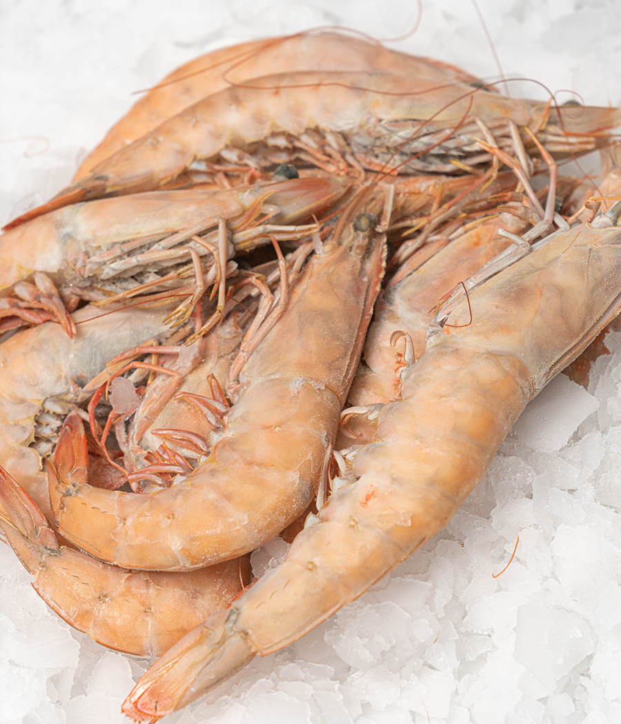Crevettes Blanches