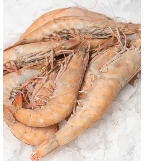 Crevettes Blanches