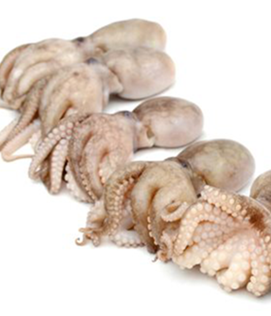 Small octopuses